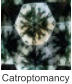 Catroptomancy